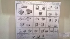 gravure_d_archive_ayant_permi_reconstitution_brillants.jpg